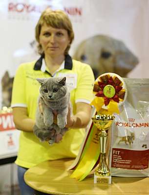 �������� �����  20-21 �������� 2014 ������������ ��� 1-268-169A1355 copy.jpg